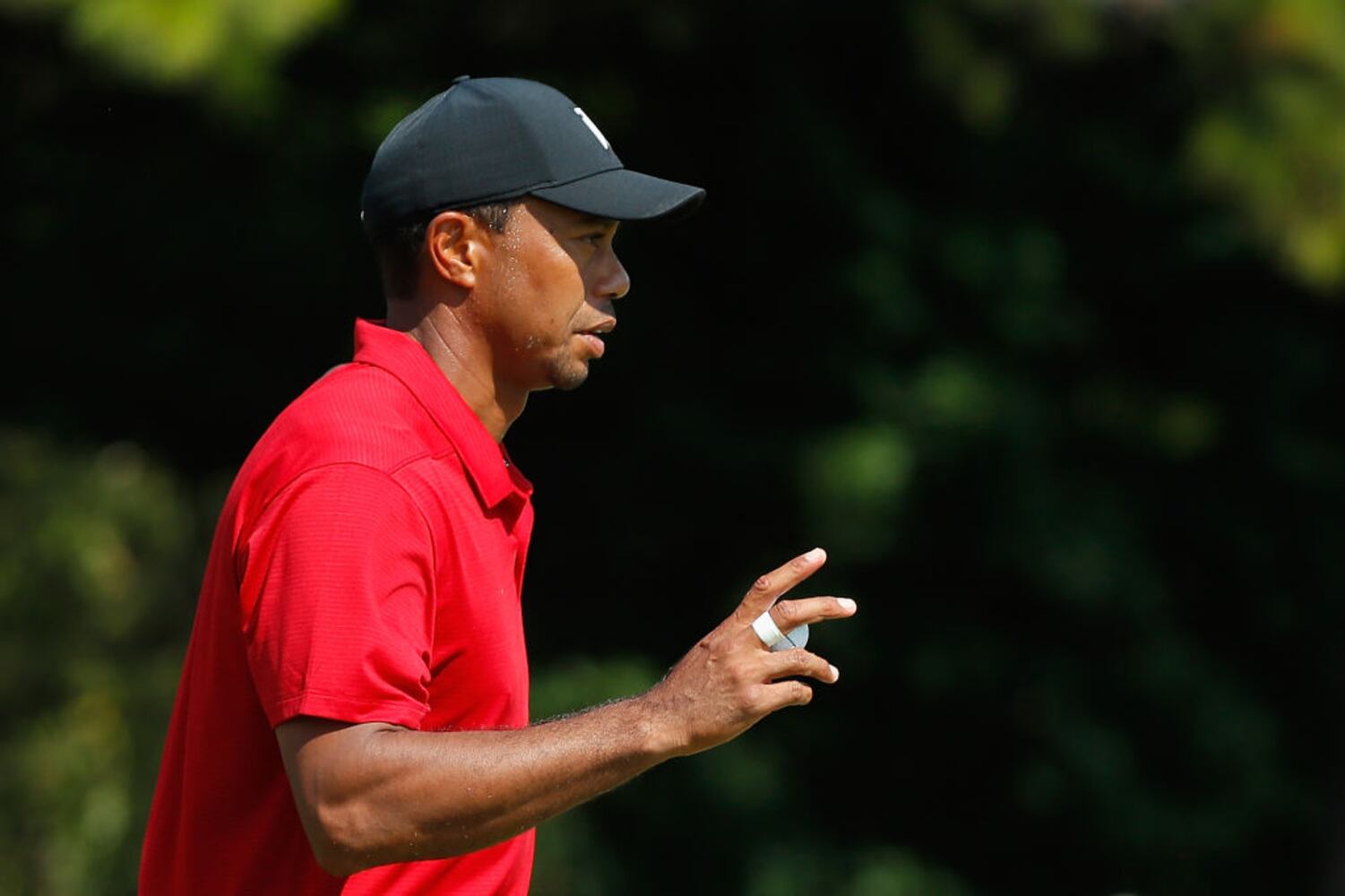 tiger woods wins tour championship