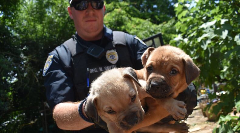 Authorites rescued 30 dogs, including nine puppies, from a LaGrange home during a hoarding investigation. The dogs will be available for adoption Monday morning at the LaGrange Animal Shelter.
