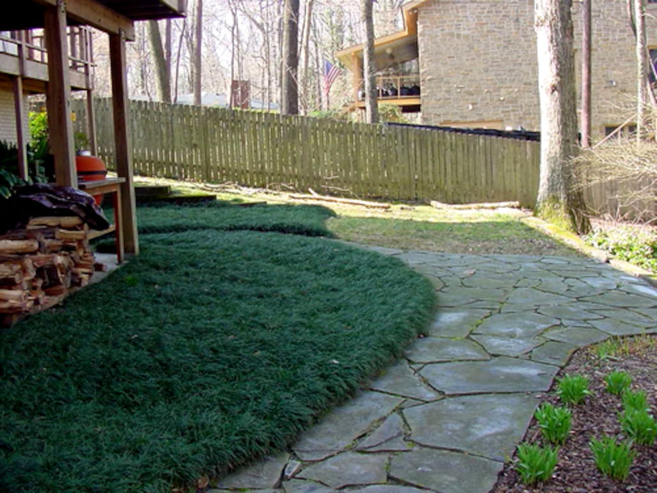 When grass won't grow, consider these alternatives