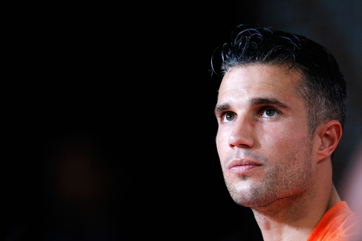 Robin van Persie, Netherlands