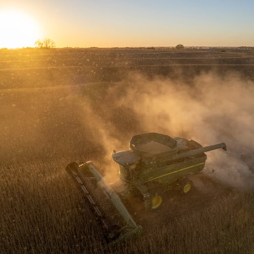 Rodney Egger harvests soybeans with a combine on Wednesday, Oct. 22, 2025, south of Lincoln, Neb. (Arthur H. Trickett-Wile/Lincoln Journal Star via AP)