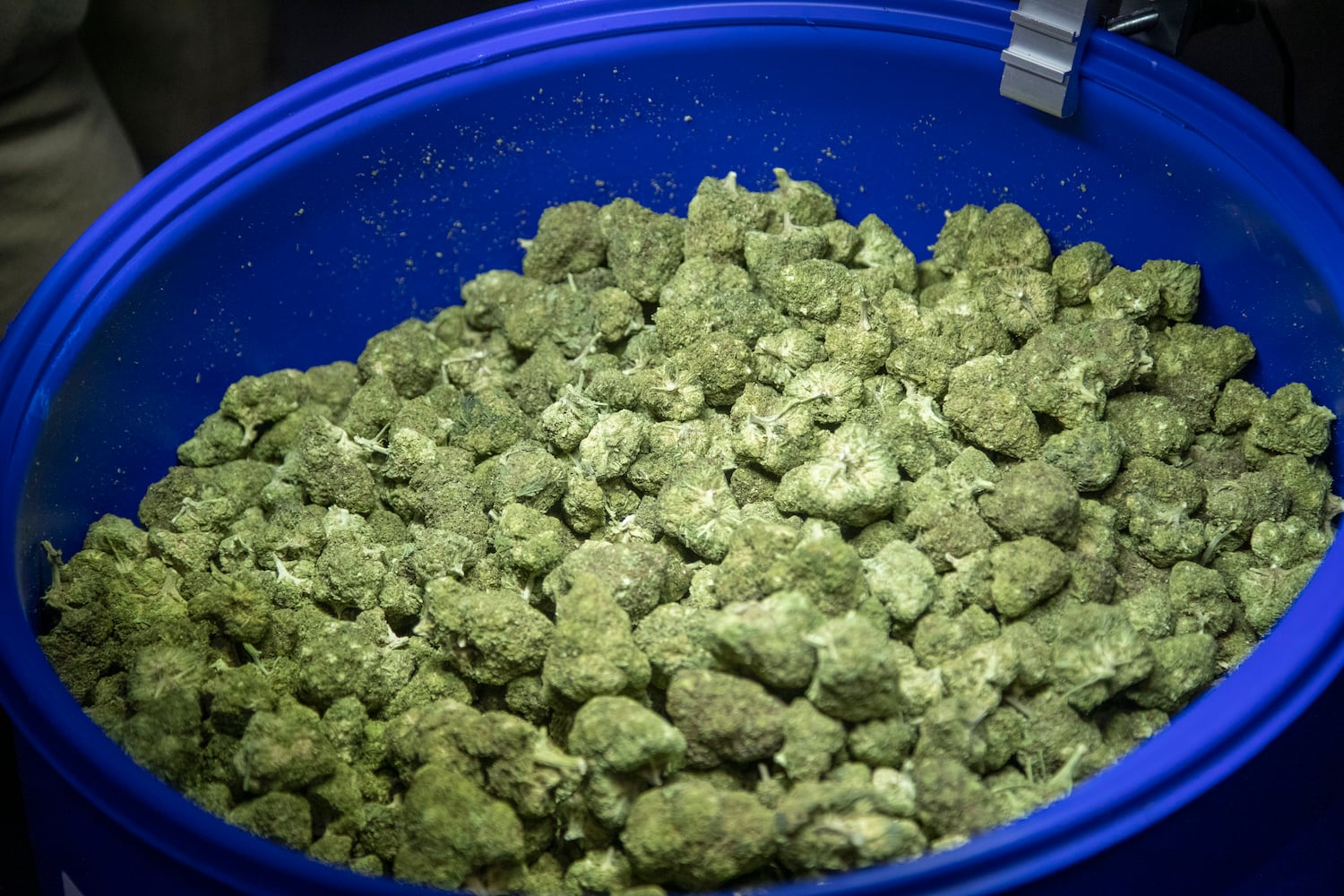 CBD PRODUCTS
