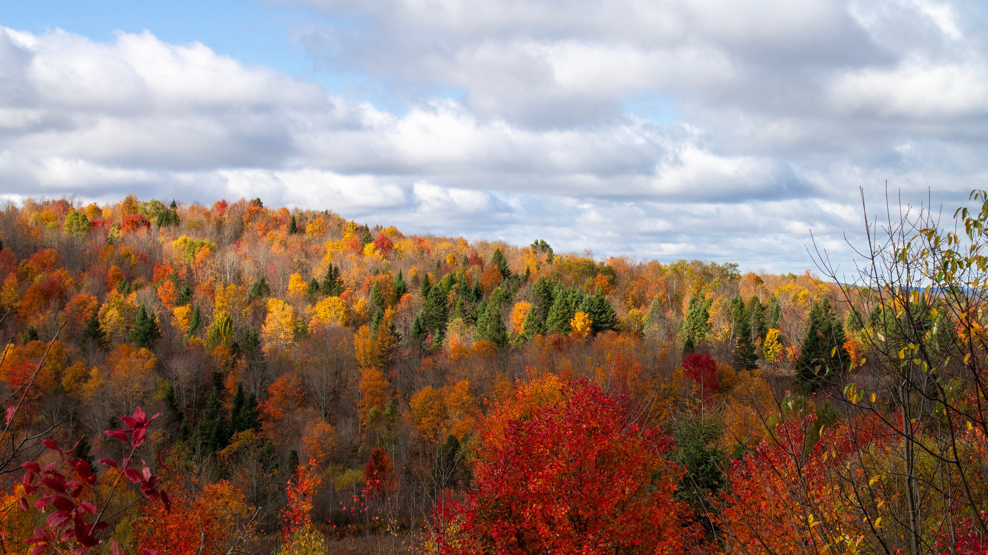 Clouds sit over fall foliage in Clarksville, N.H., on Thursday, Oct. 9, 2025. (AP Photo/Holly Ramer)