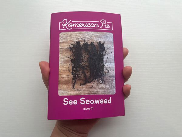 Sarah Choi's zine "Komerican Pie" had the theme of seaweed for its winter 2026 edition. (Courtesy of Sarah Choi)