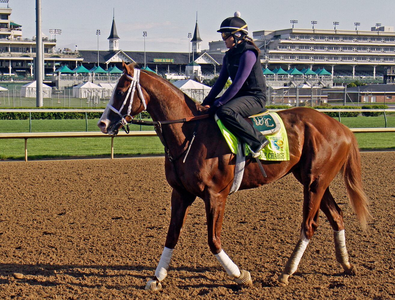 17. Will Take Charge (20/1)