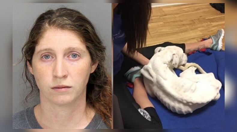 Ashley Marie Davis (left) pleaded guilty to leaving two dogs alone for weeks, nearly starving them to death. Lucky (right) was one of the dogs.