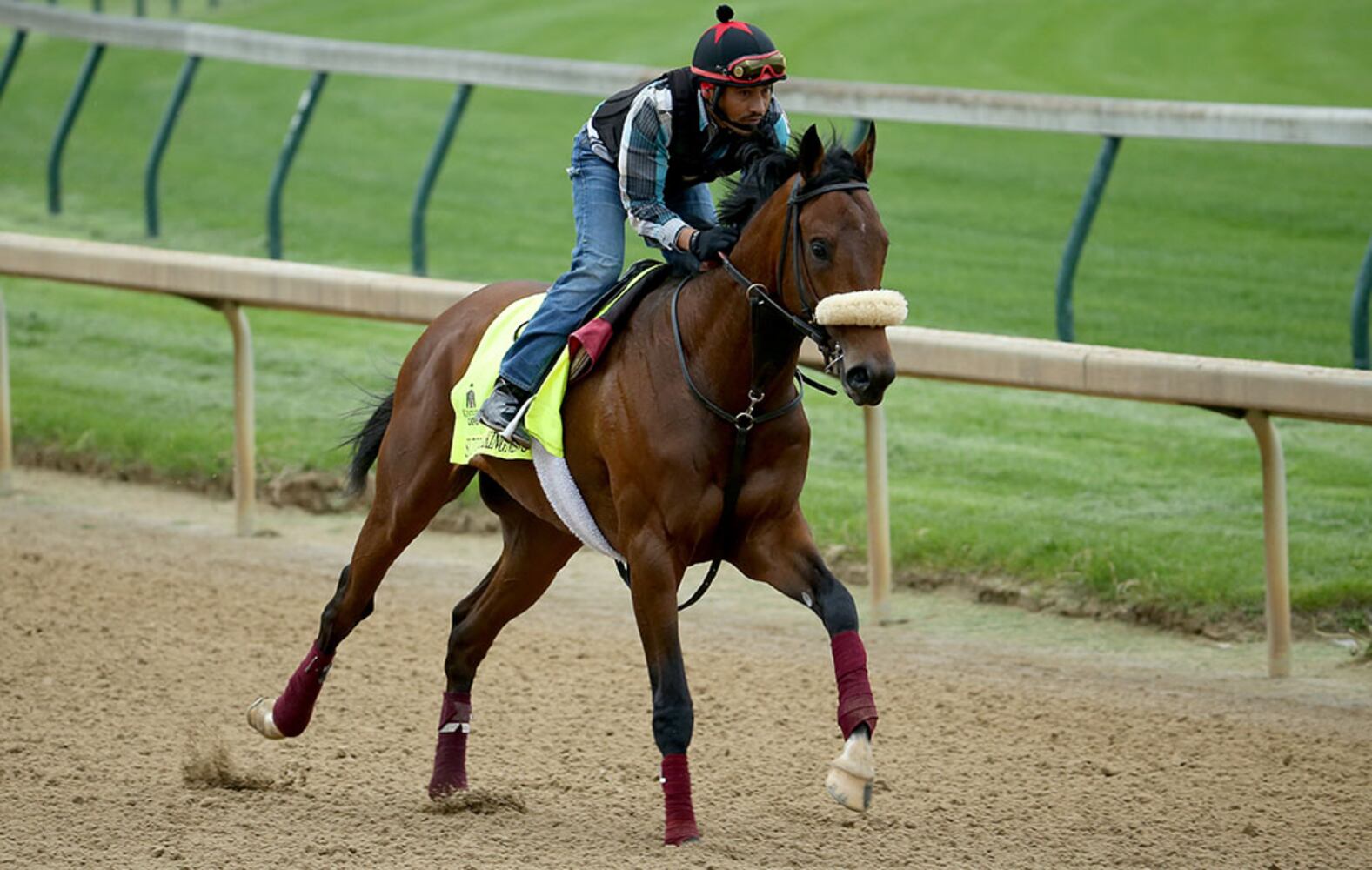 2016 Kentucky Derby field