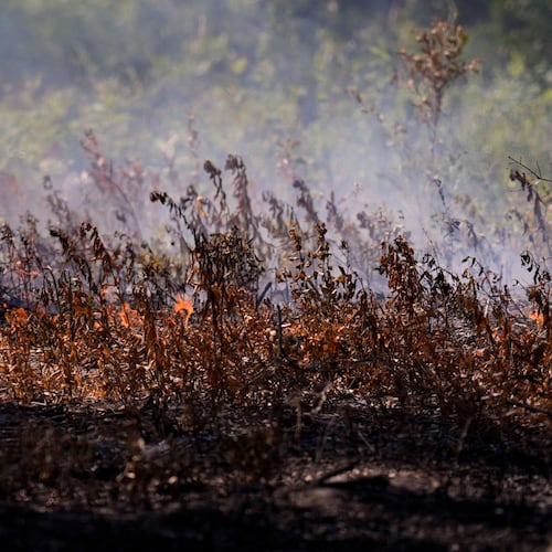 The Brantley Highway 82 fire continues to burn Thursday, April 23, 2026, near Nahunta. (Mike Stewart/AP)