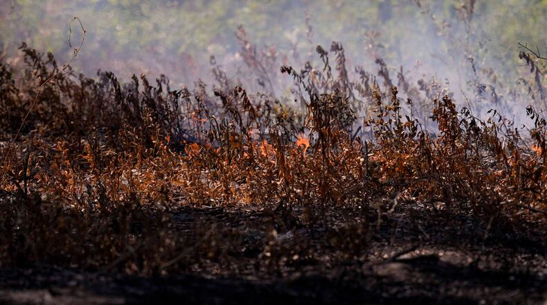 The Brantley Highway 82 fire continues to burn Thursday, April 23, 2026, near Nahunta. (Mike Stewart/AP)