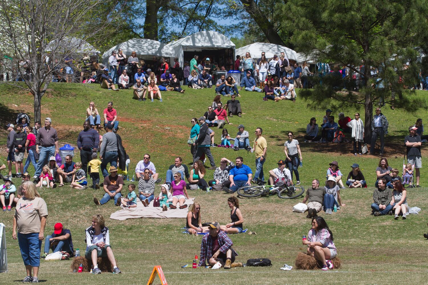 81st Annual Atlanta Dogwood Festival