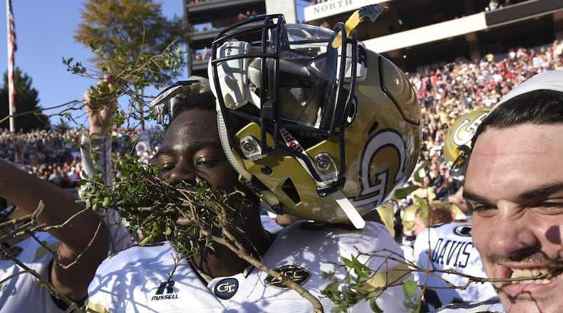 November 26, 2016, Athens - Georgia Tech wide receiver Antonio Messick (81) and other Georgia Tech football players hold branches from Sanford Stadium's hedges in their mouthes in Athens, Georgia, on Saturday, November 26, 2016. (DAVID BARNES / DAVID.BARNES@AJC.COM)