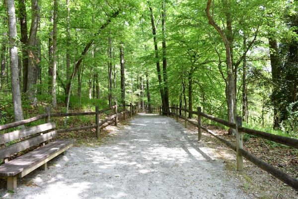 The half-mile trail at Newman Wetlands Center offers a sun-dappled walk winding through the center. (Courtesy of Heather Middleton)