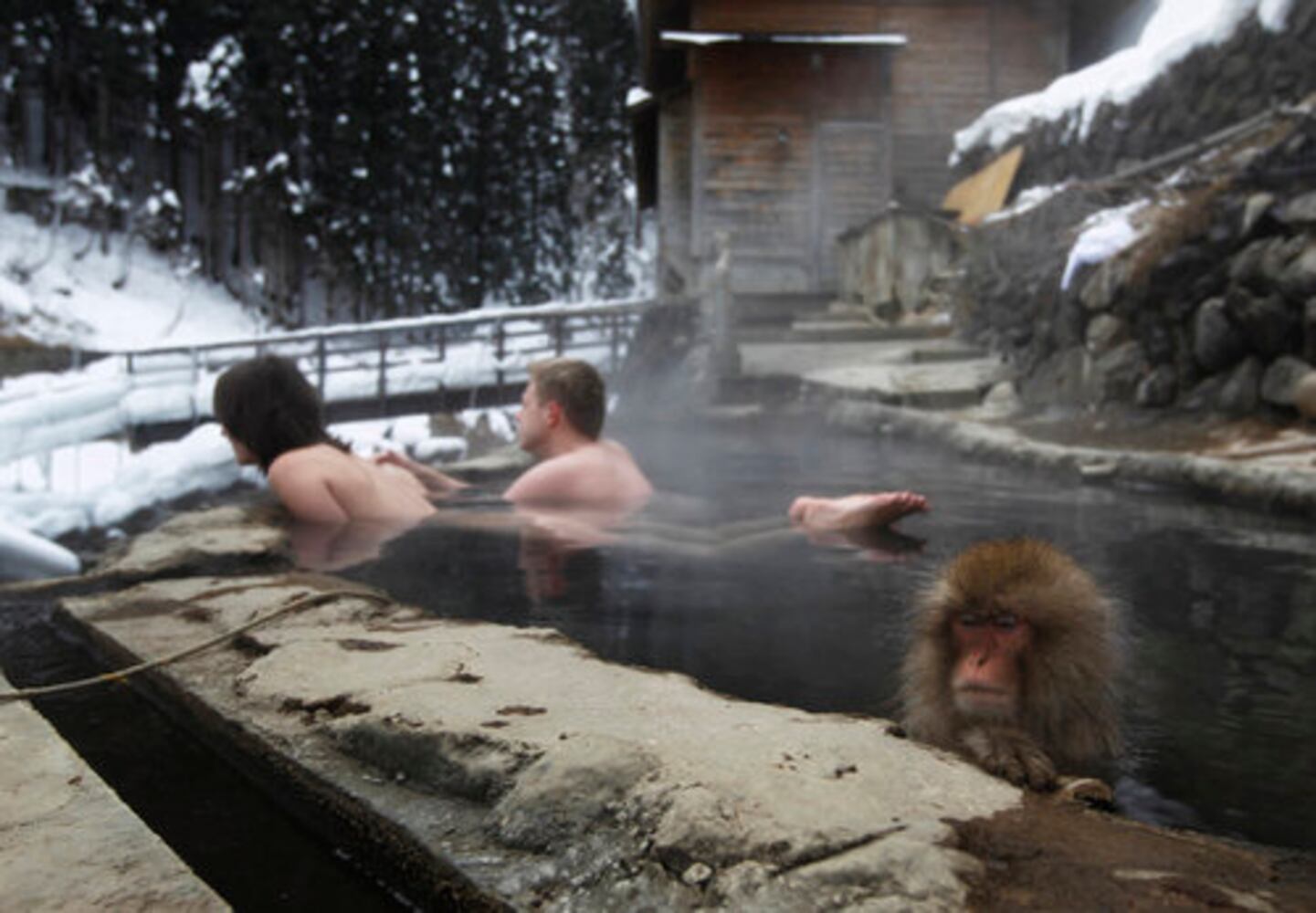 Snow monkey 'spa' a hot tourist spot