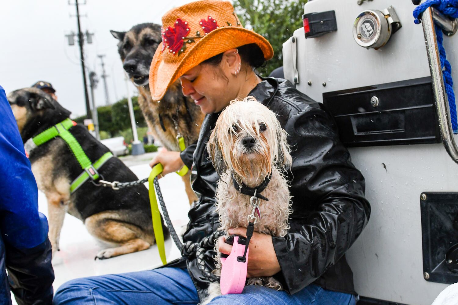 Photos: Harvey’s impact on people and pets