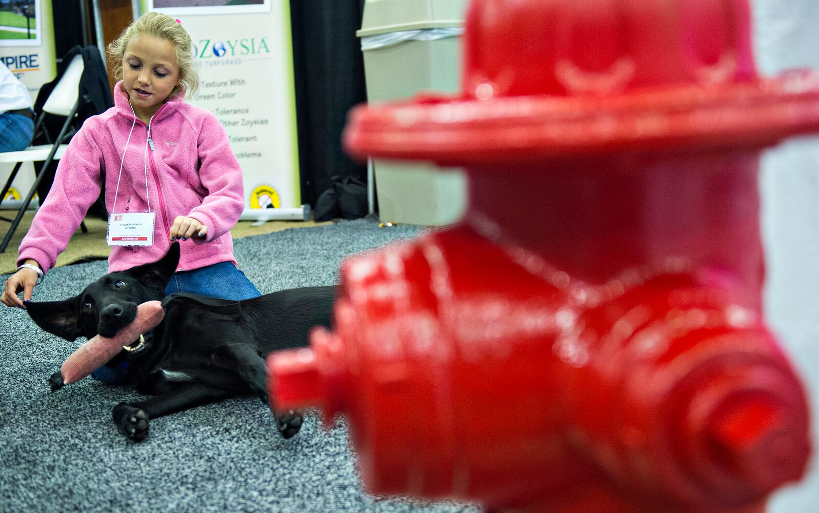 37th annual Spring Atlanta Home Show