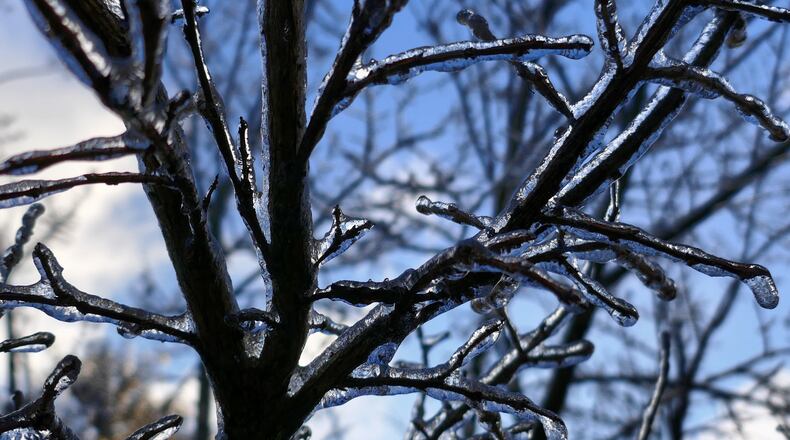 Ice coats the branches of a tree in Smyrna, Ga., on Saturday, Jan. 7, 2017.