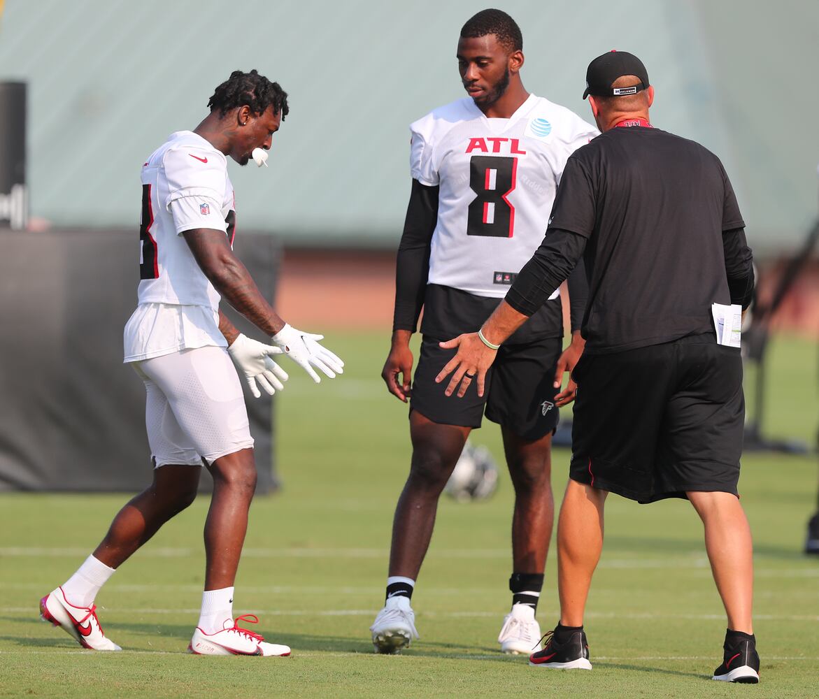 FALCONS PHOTO