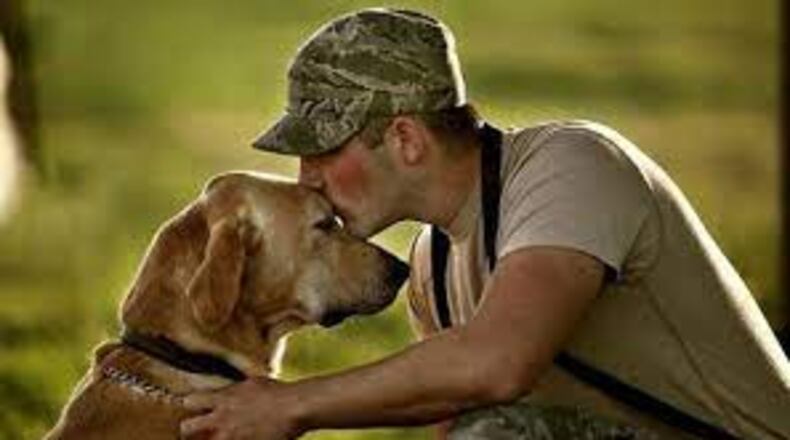 For free, U.S. veterans can receive a dog or cat from Cobb County Animal Services. (Courtesy of Cobb County)