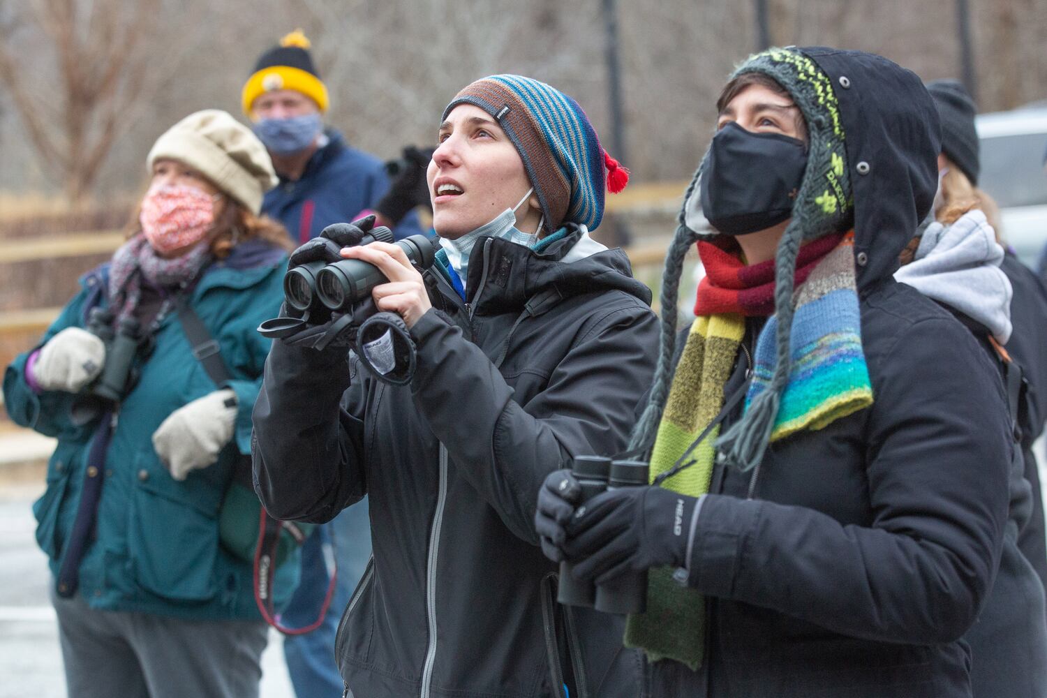 Bird Walk and Wildlife Viewing at Morgan Falls Overlook Park
