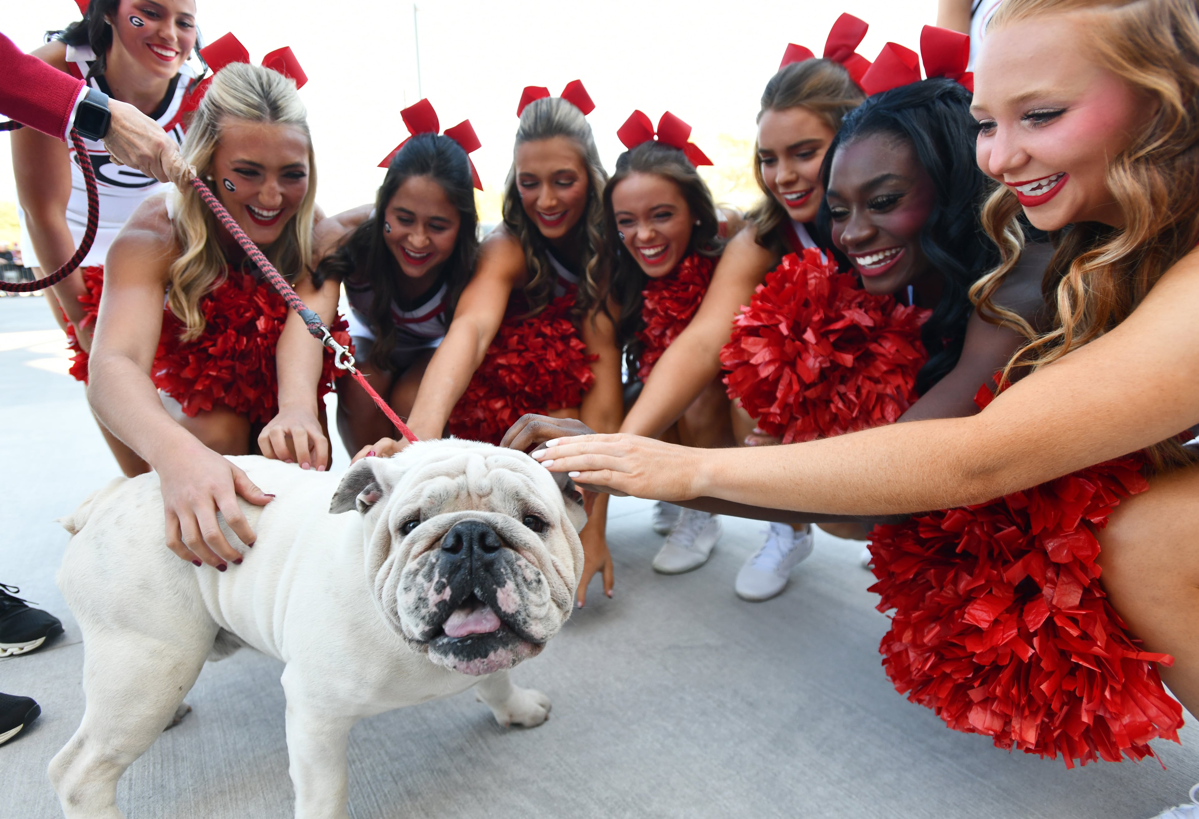 UGA XI, known as Boom, is surrounded by members of Spirit Squad prior to an NCAA football game between Georgia and Florida at EverBank Stadium, Saturday, November 1, 2025, Jacksonville, Fla. (Hyosub Shin / AJC)