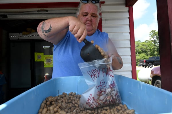 Timmi Moore fills a gallon bag with boiled peanuts she cooked at the Hardy Farms stand along Houston Lake Road in Warner Robins. (Hyosub Shin/AJC)