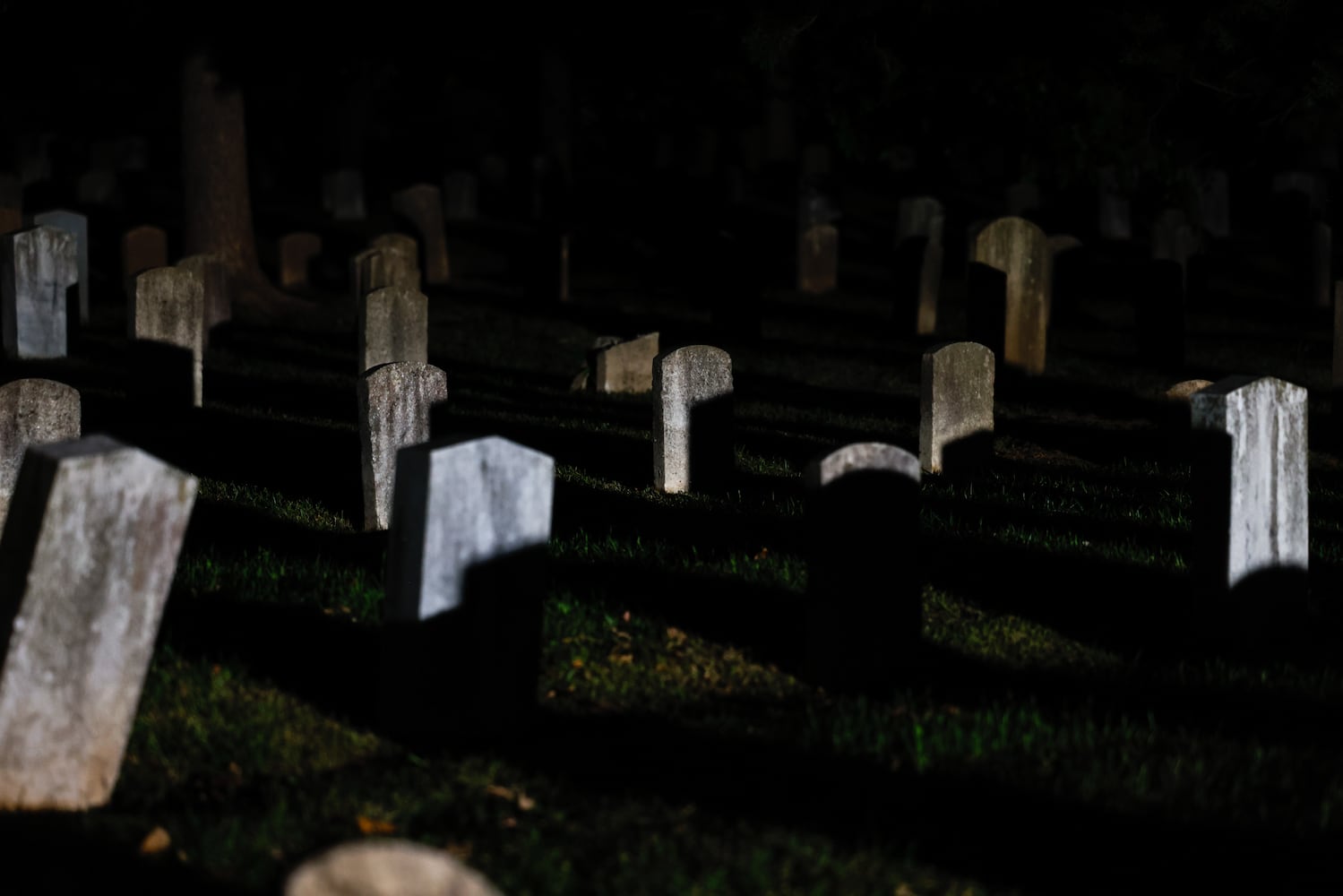 Oakland Cemetery Illumine