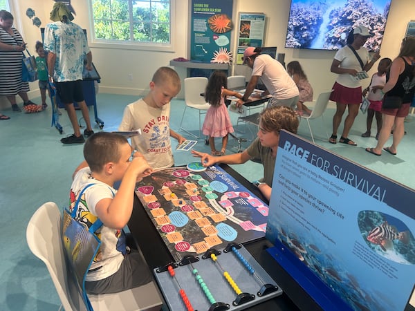 At the REEF Ocean Exploration Center, children play Race for Survival, an interactive exhibit that illustrates the perils the critically endangered Nassau grouper faces before it can reproduce. (Courtesy of REEF Ocean Exploration Center)