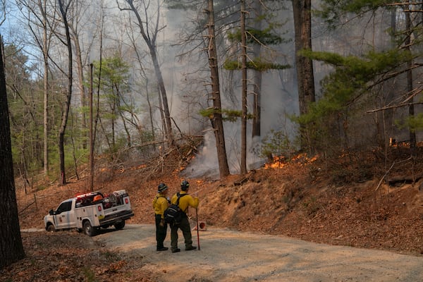 Firefighters work to control the Black Cove Fire Wednesday, March 26, 2025, in Saluda, N.C.. (AP Photo/Allison Joyce)