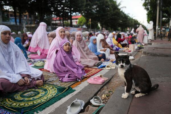 A stray cat sits on the sidewalk as Muslim women prepare to perform an Eid al-Fitr prayer that marks the end of the holy fasting month of Ramadan, on a street in Jakarta, Indonesia, Monday, March 31, 2025. (AP Photo/Dita Alangkara)