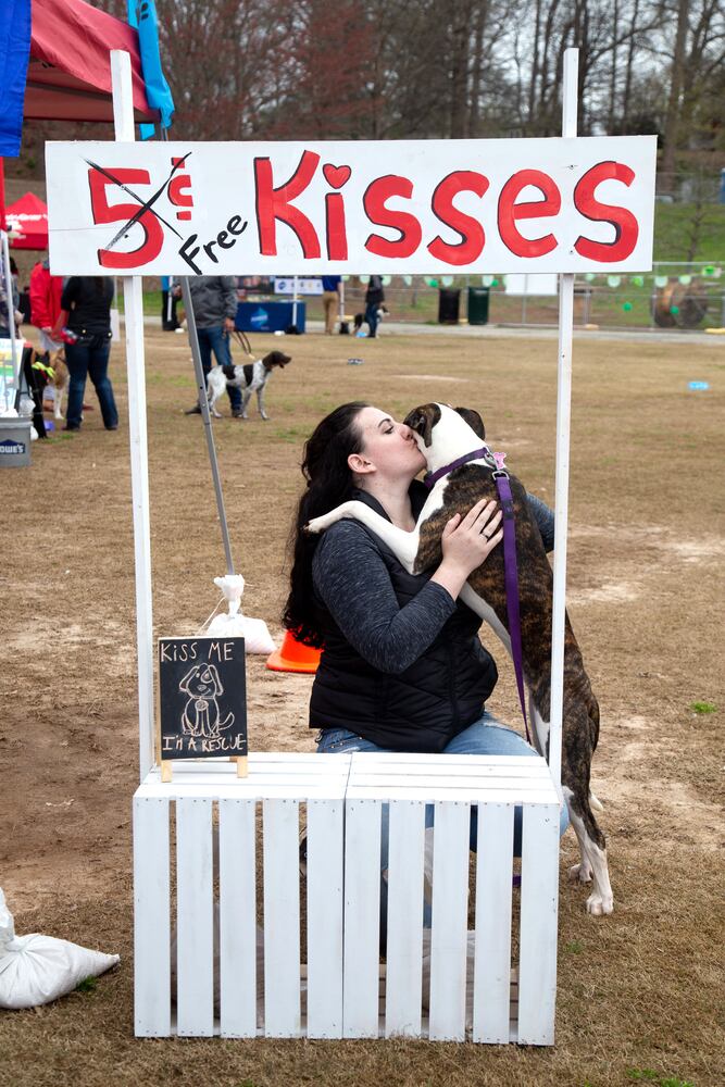 The Rescue Dog Games 2019