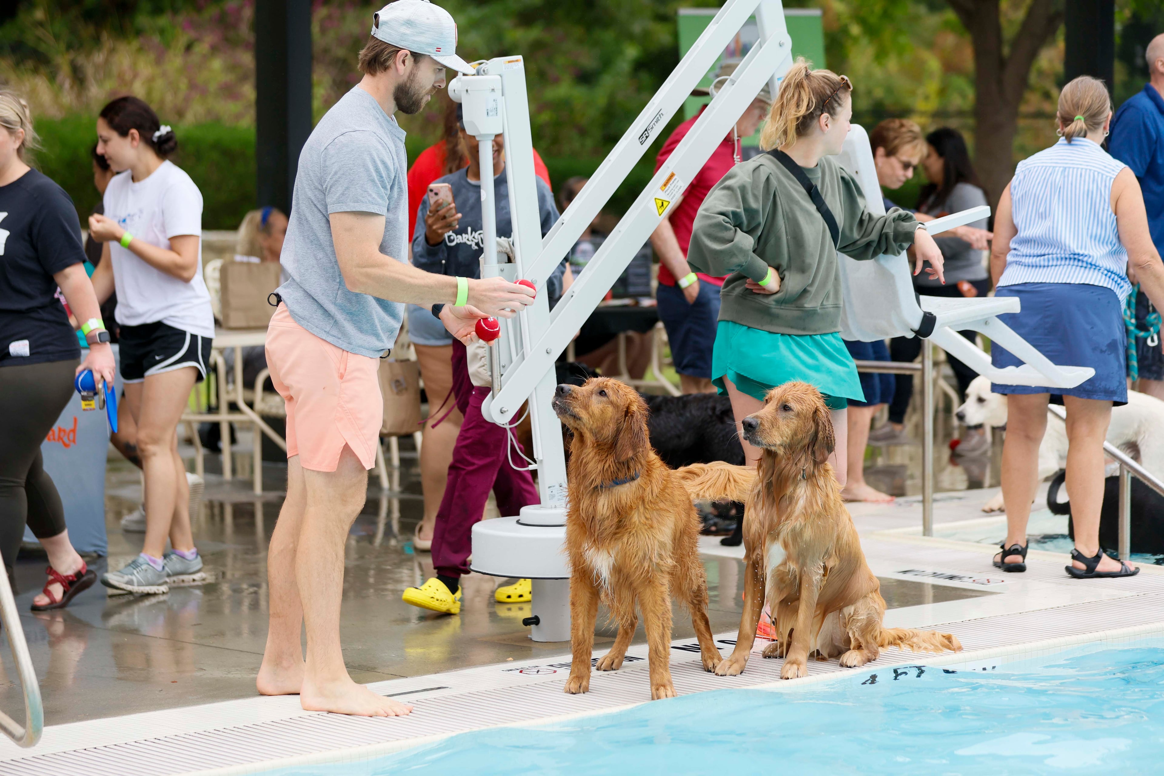 Nte Simpson prepares to toss the ball to the pool to Loui, left, and Boss Man during the XV annual Splish Splash Doggie Bash at Piedmont Park on Sunday, October 5, 2025. The proceeds support Piedmont Park Dog Parks.
(Miguel Martinez/ AJC)