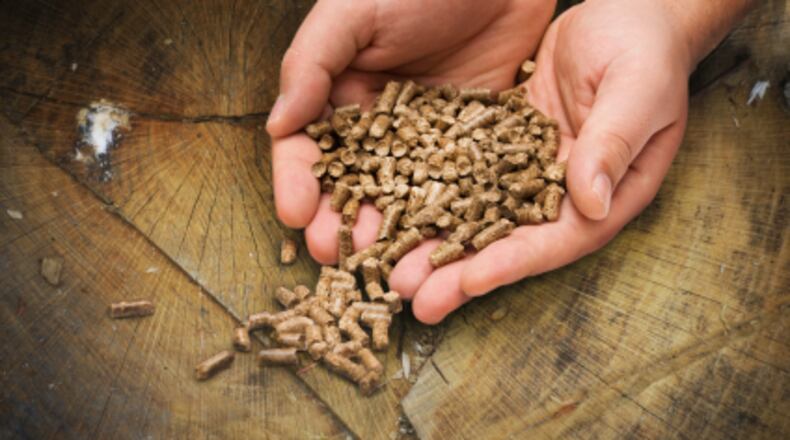 Biomass is any organic material, such as wood, that is burned for fuel. Georgia is a major producer and exporter of biomass wood pellets made from Georgia trees that are largely burned overseas. (Associated Press 2020)