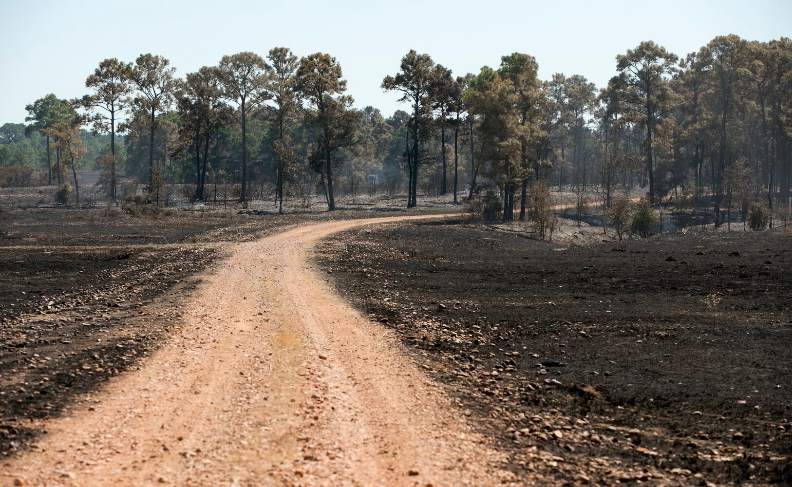 Bastrop County wildfire, 10.15.15