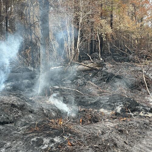 Blackened trees and charred palmetto fronds lined the shoulders of U.S. 82 on Monday, April 27, 2026 in Brantley County, Ga., as smoke poured from the ground in several spots beside the highway. (AP Photo/Russ Bynum)