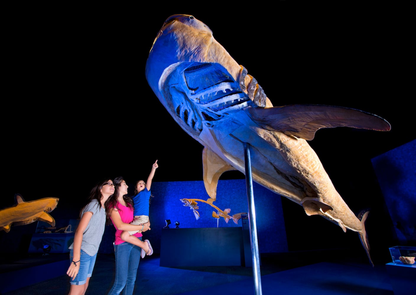 Sea Monsters at Georgia Aquarium
