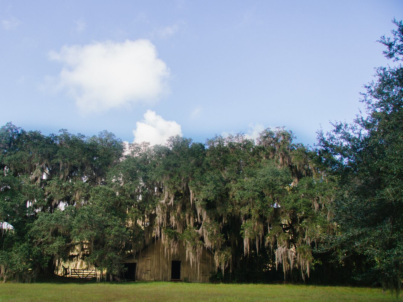 wildlife corridor