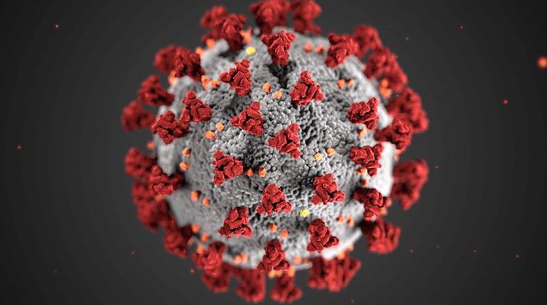 Image of a coronavirus cell created by UGA grads Alissa Eckert and Dan Higgins. Higgins and Eckert are both medical illustrators at the Centers for Disease Control and Prevention. Their 3D image is now the iconic face of the virus. (File photo)