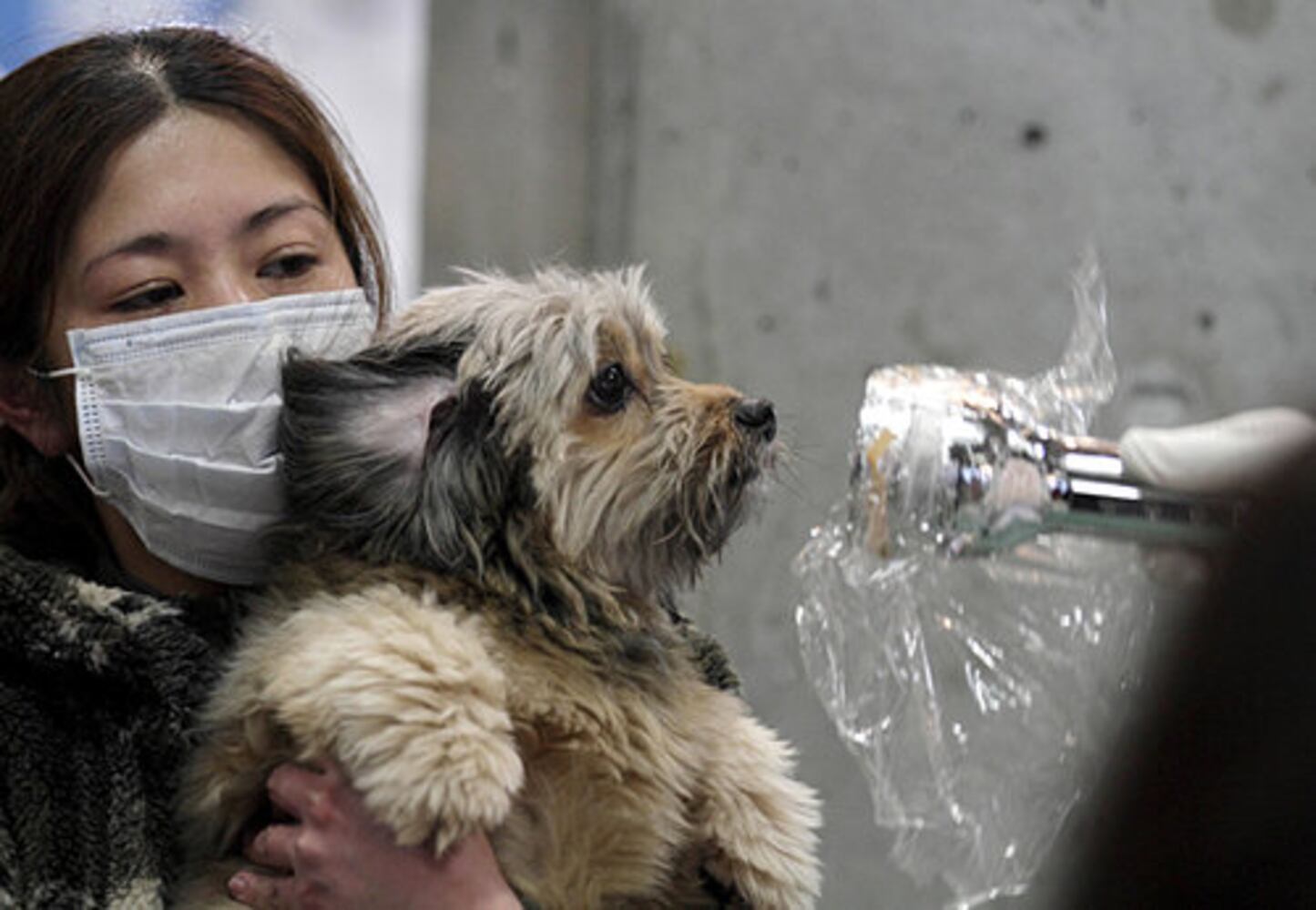 Japan struggles in tsunami, quake aftermath