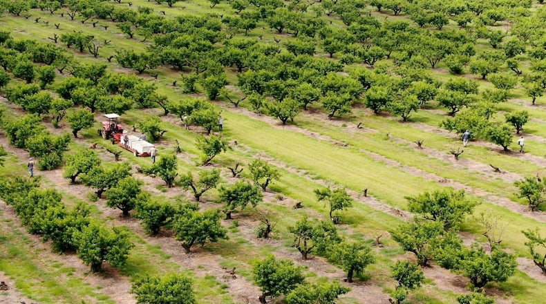 Farmers across Georgia are continuously adapting, innovating and researching solutions to the dilemmas of a changing agricultural environment. (Photo provided by The Telegraph)