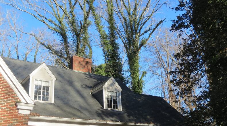 Chimneys should be checked regularly to ensure no water or pests are able to get inside. Caps and screens can prevent the chimney from becoming a point of entry. Contributed by Nancy Keenan