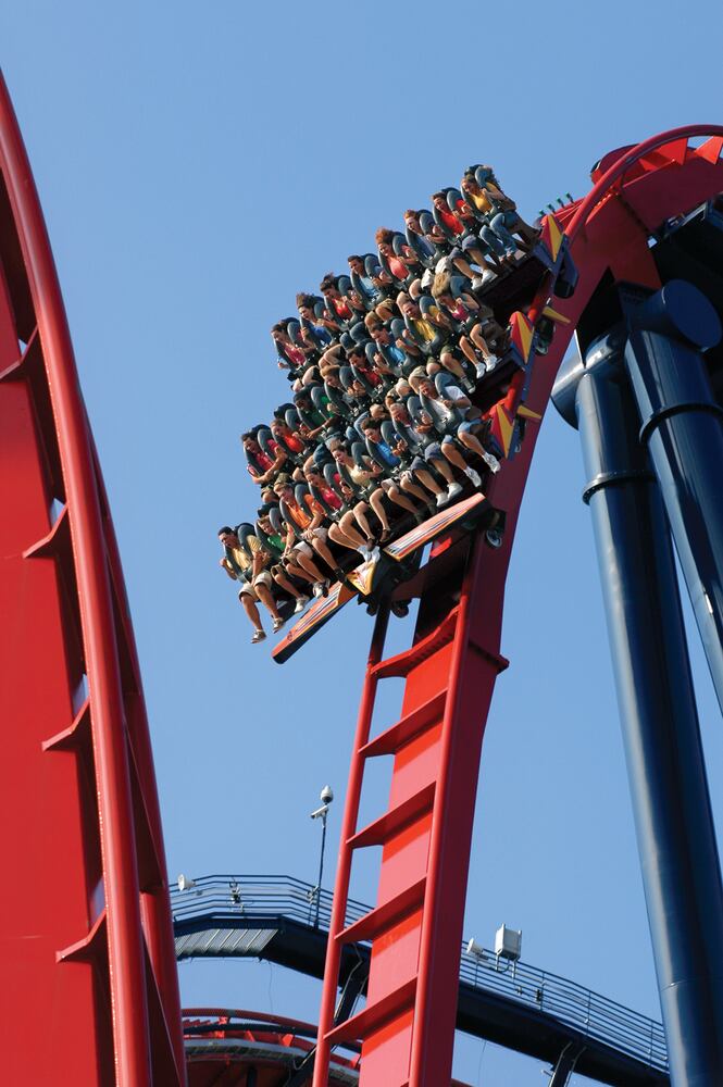 Busch Gardens in Tampa
