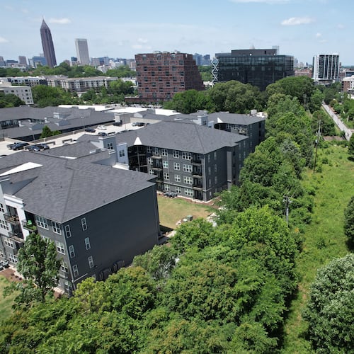The tree canopy along the Atlanta Beltline's Eastside Trail. (Courtesy of Atlanta Beltline)