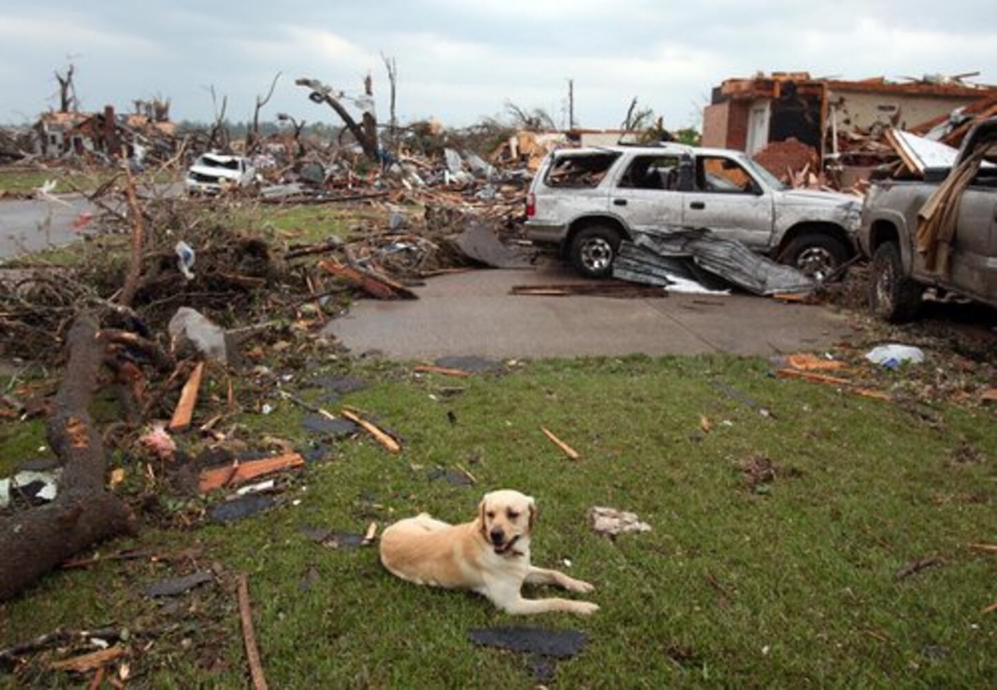 Deadly tornado rips through Tuscaloosa, Ala.