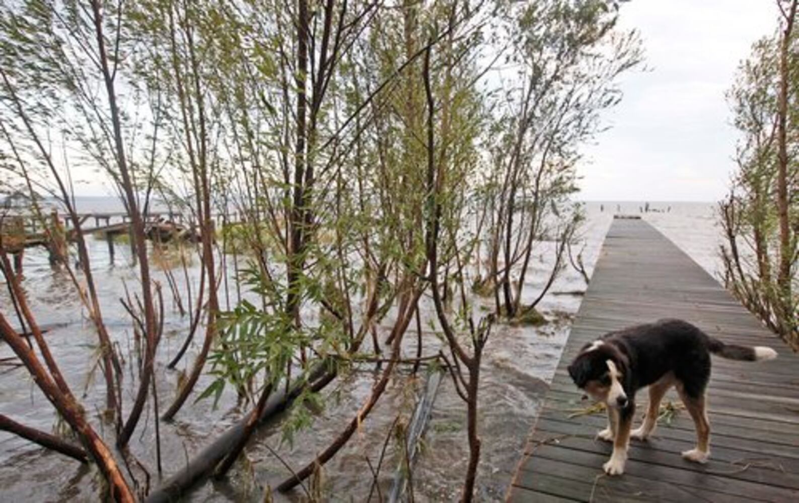 Flooding, damage left in aftermath of Hurricane Irene