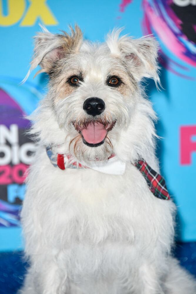 2017 teen choice awards red carpet