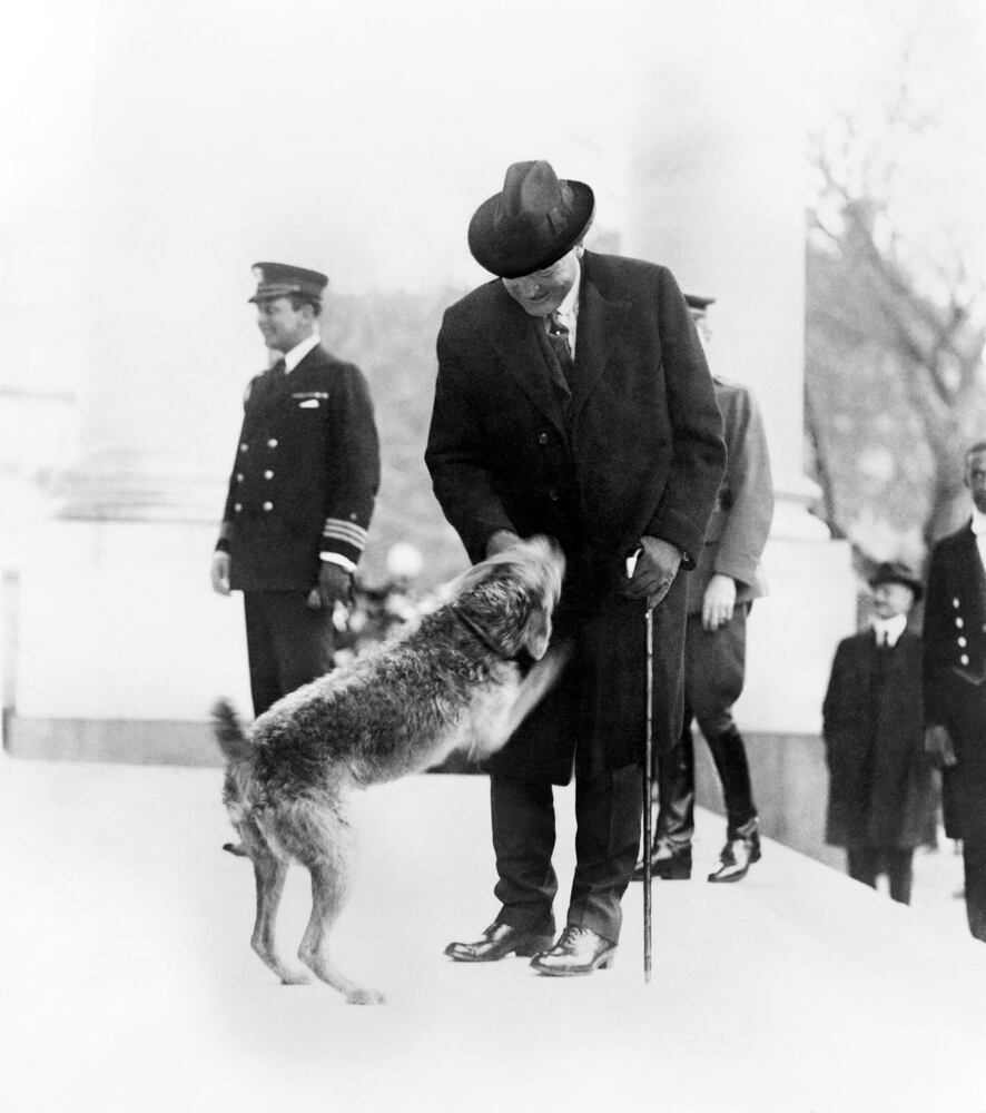 White House dogs, cats and more through the years.