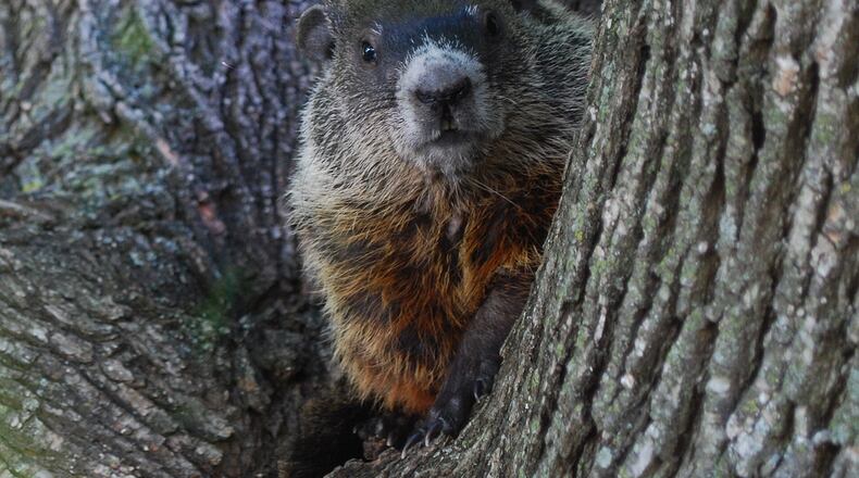 Photo by Karen Bates