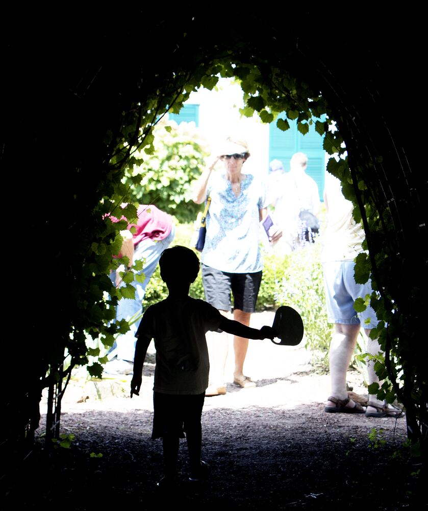 Roswell Lavender Festival 2015
