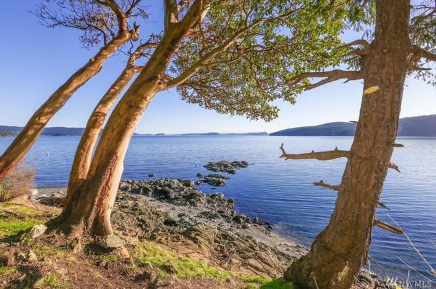 Photos: Inside Oprah's new $8M Orcas Island home