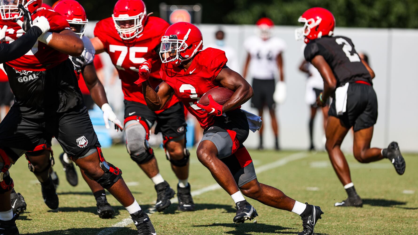 Georgia Bulldogs